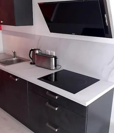 Appt Vue Parc, Avec Terrasse * Châtel-Guyon