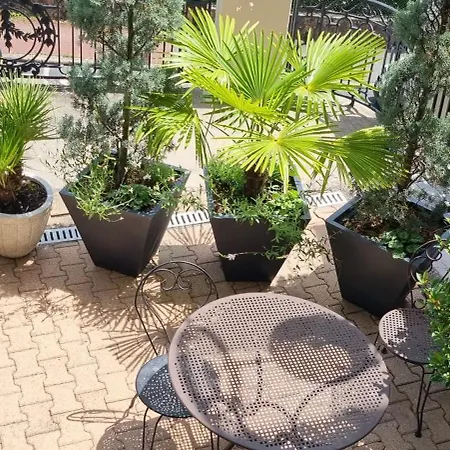 Appt Vue Parc, Avec Terrasse *