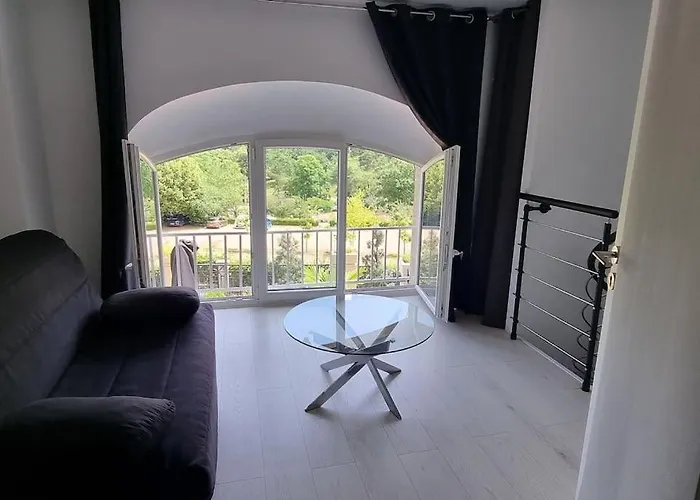 Appt Vue Parc, Avec Terrasse Chatel-Guyon