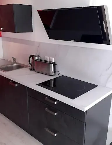 Appt Vue Parc, Avec Terrasse * Chatel-Guyon